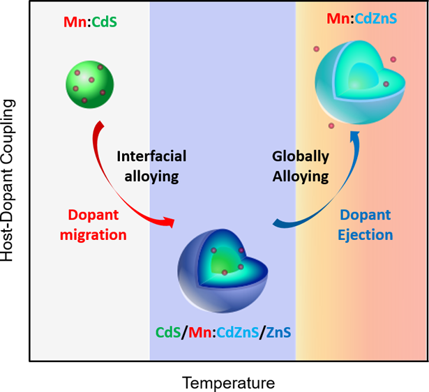 TOC figure for Hofman2020