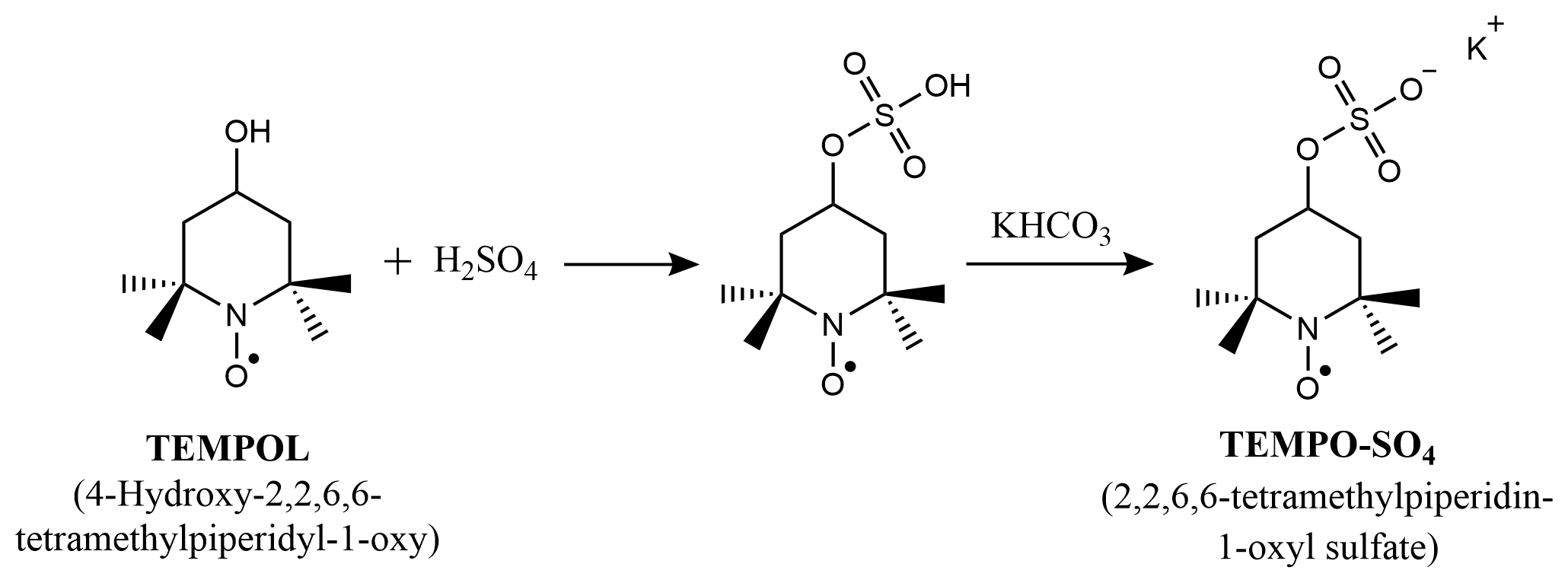 TOC figure for Shathy2024ExcMicDyn